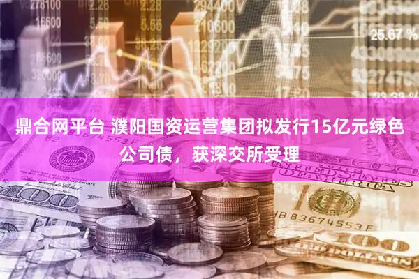 鼎合网平台 濮阳国资运营集团拟发行15亿元绿色公司债，获深交所受理