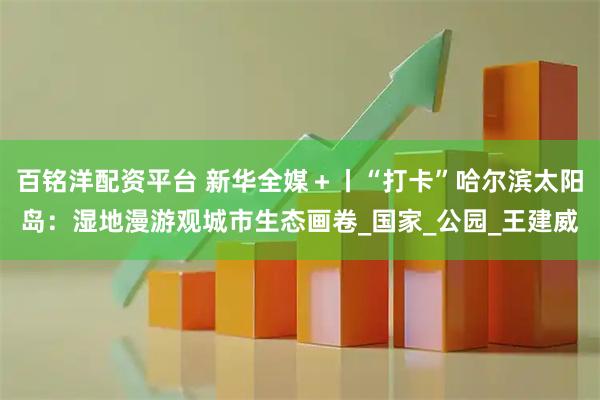 百铭洋配资平台 新华全媒＋丨“打卡”哈尔滨太阳岛：湿地漫游观城市生态画卷_国家_公园_王建威