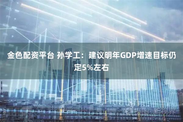 金色配资平台 孙学工：建议明年GDP增速目标仍定5%左右